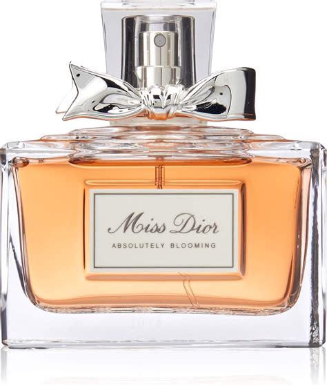 cristian dior perfumes|Meer.